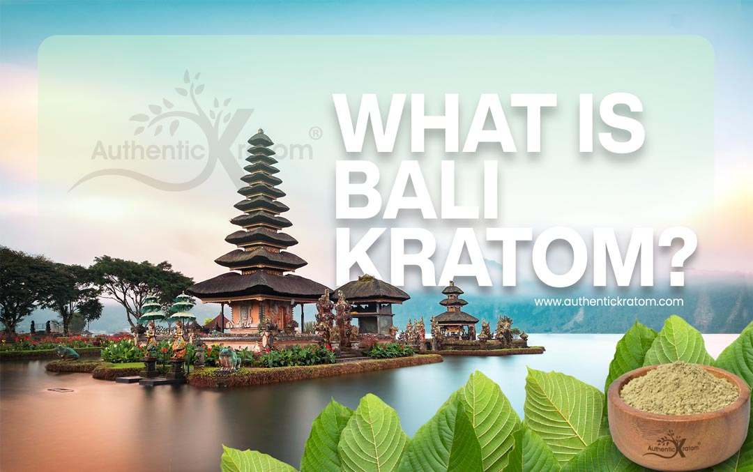 What is Bali Kratom?