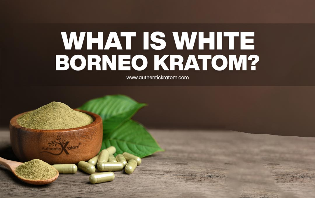What is Borneo White Vein Kratom - is it good?