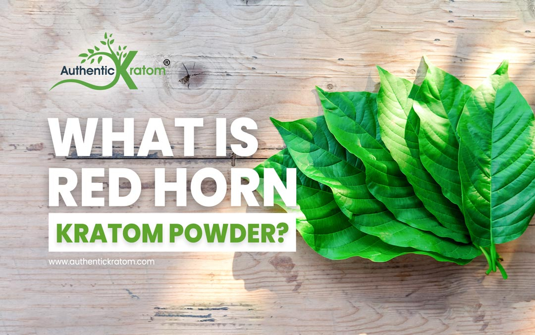 What Is Red Horn Kratom? What You Need To Know