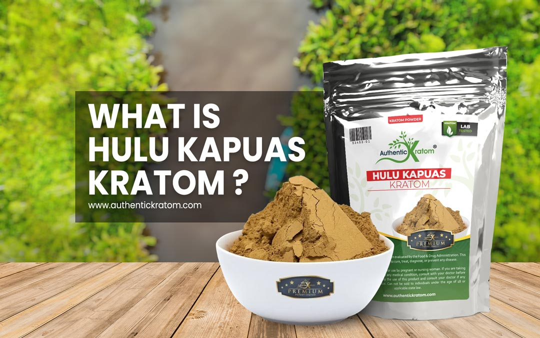 What is Hulu Kapuas Kratom Powder?
