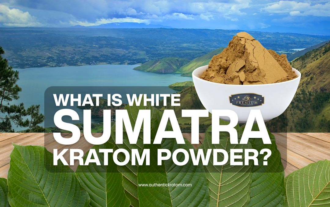 What is white sumatra kratom powder?