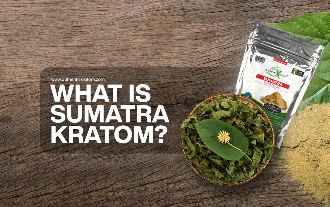 What is sumatra kratom powder?