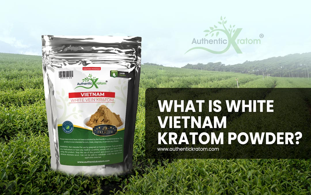 What is white vietnam kratom?