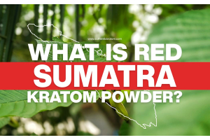 What is Red Sumatra Kratom Powder?