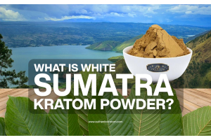 What is white sumatra kratom powder?