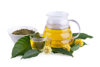 Cup of Kratom tea with fresh green kratom leaf or Mitragyna speciosa with kratom Flower on white background