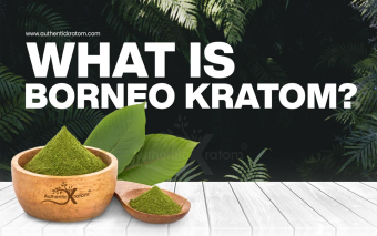 Borneo Kratom - What you need to know
