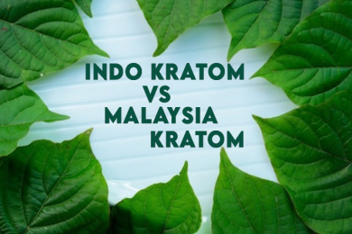 https://www.authentickratom.com/education/indo-kratom-vs-malaysia-kratom