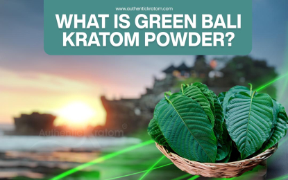 https://www.authentickratom.com/education/what-is-green-bali-kratom-powder
