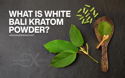 https://www.authentickratom.com/education/what-is-white-bali-kratom-powder