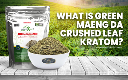 https://www.authentickratom.com/education/what-is-green-maeng-crushed-leaf-kratom