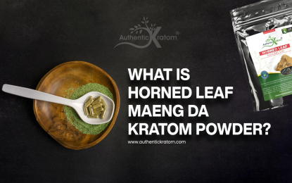 https://www.authentickratom.com/education/what-is-horned-leaf-maeng-da-kratom-powder