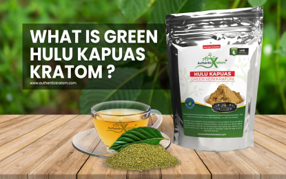 https://www.authentickratom.com/education/what-is-green-hulu-kapuas-kratom-powder