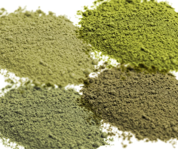 Sakae Naa VS Kratom- Top Differences To Know