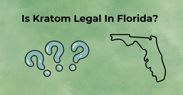 Is Kratom Legal In Florida?