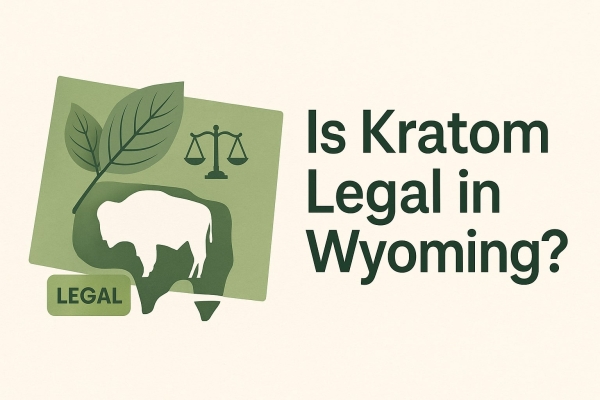 Wyoming outline with kratom leaf, justice scale, and bison icon next to text reading ‘Is Kratom Legal in Wyoming?’