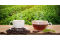 Can You Mix Kratom And Coffee? | Mixing Kratom With Coffee