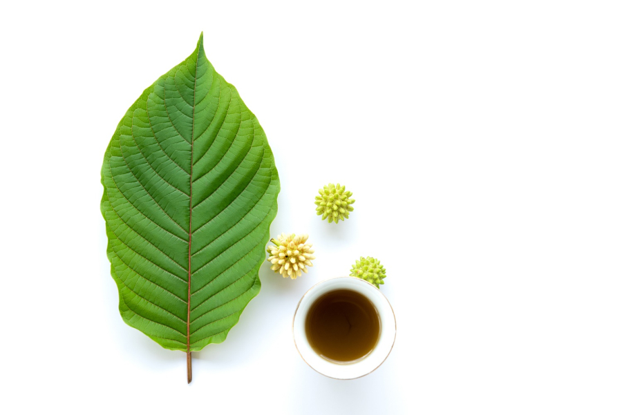 Kratom Dosage Guide - How Much Is Safe To Take Per Day?