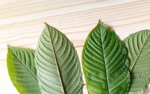 what are the best kratom strains