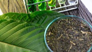 what are the kratom potential risks