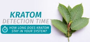 How Long Does Kratom Last In Your System