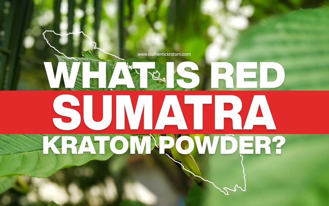 What is Red Sumatra Kratom Powder?