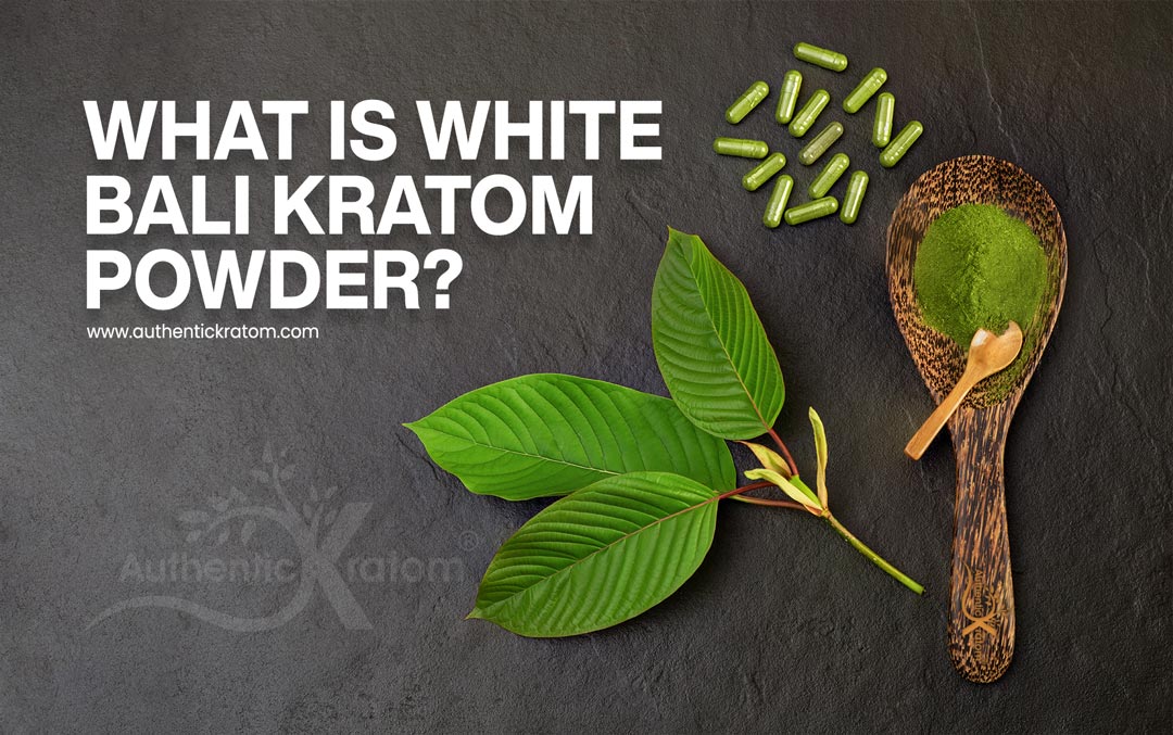 What is White Bali Kratom? The ins & outs | Authentic Kratom