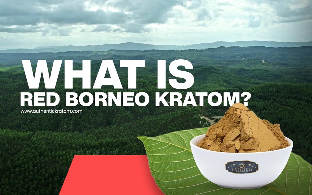 What is Borneo Red Vein Kratom - the effects & benefits