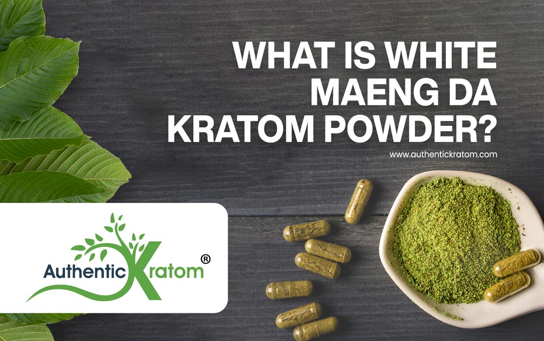 Maeng Da White Vein Kratom Powder - The effects & Benefits