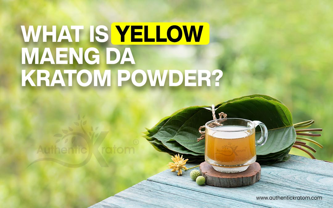 Maeng Da Yellow Vein Kratom - the effects & benefits