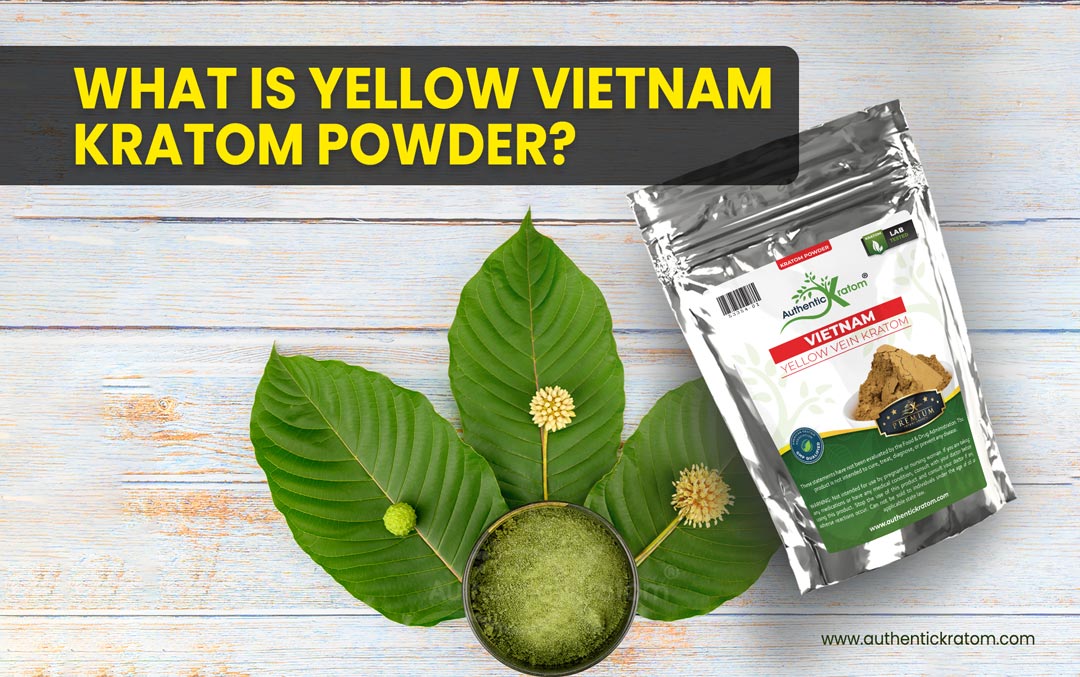 Vietnam Yellow Vein Kratom - The effects & Benefits